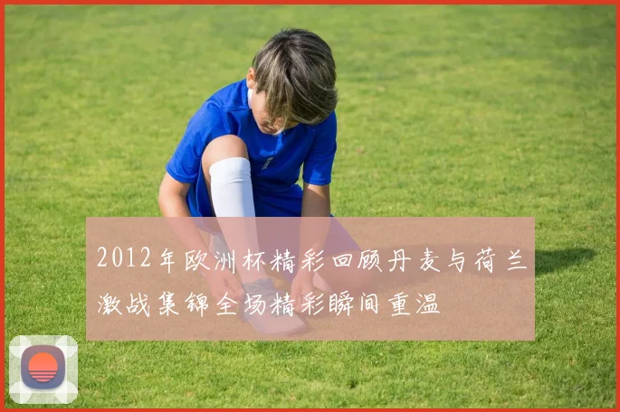 2012年欧洲杯精彩回顾丹麦与荷兰激战集锦全场精彩瞬间重温
