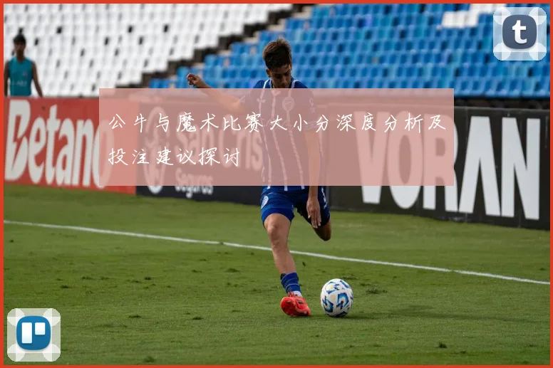 公牛与魔术比赛大小分深度分析及投注建议探讨