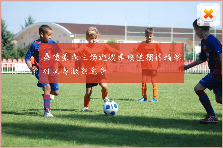 桑德豪森主场迎战弗赖堡期待精彩对决与激烈竞争