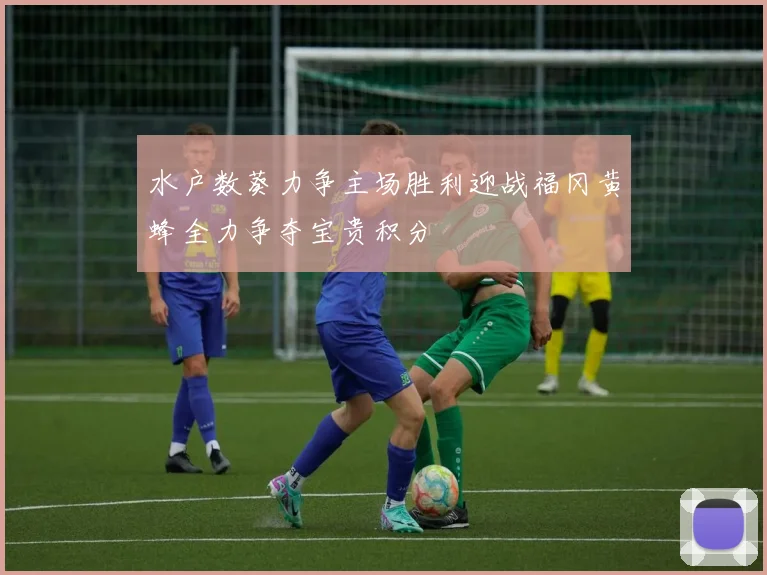 水户数葵力争主场胜利迎战福冈黄蜂全力争夺宝贵积分
